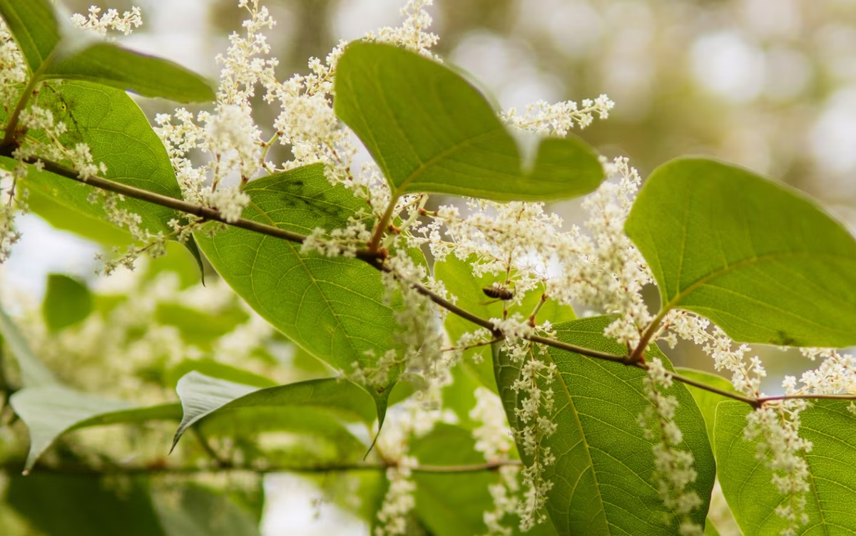 1773321687_Snimka_zaslona_2026-0.format-avif.width-1200