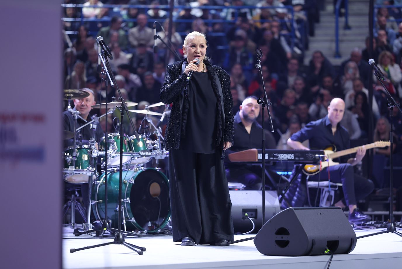 vesna zmijanac na skupu sns