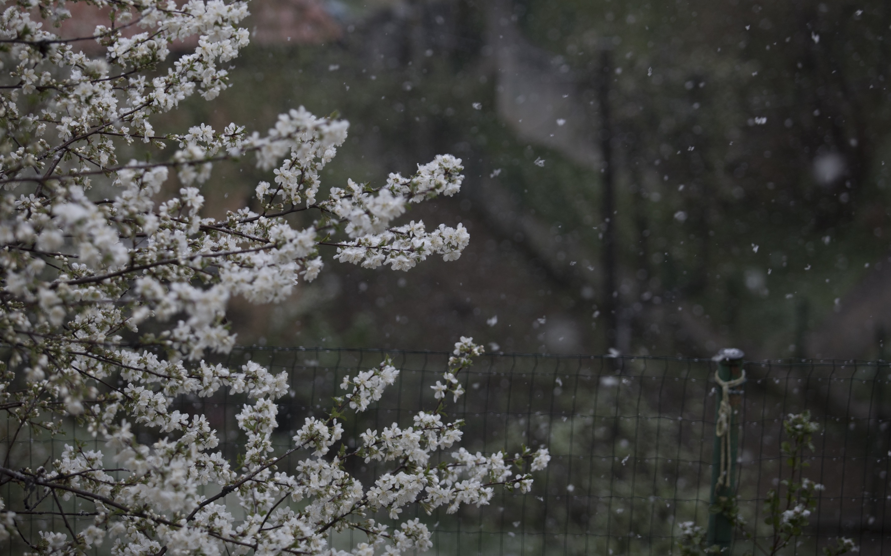 20200414-2-41904758-53945371-289345