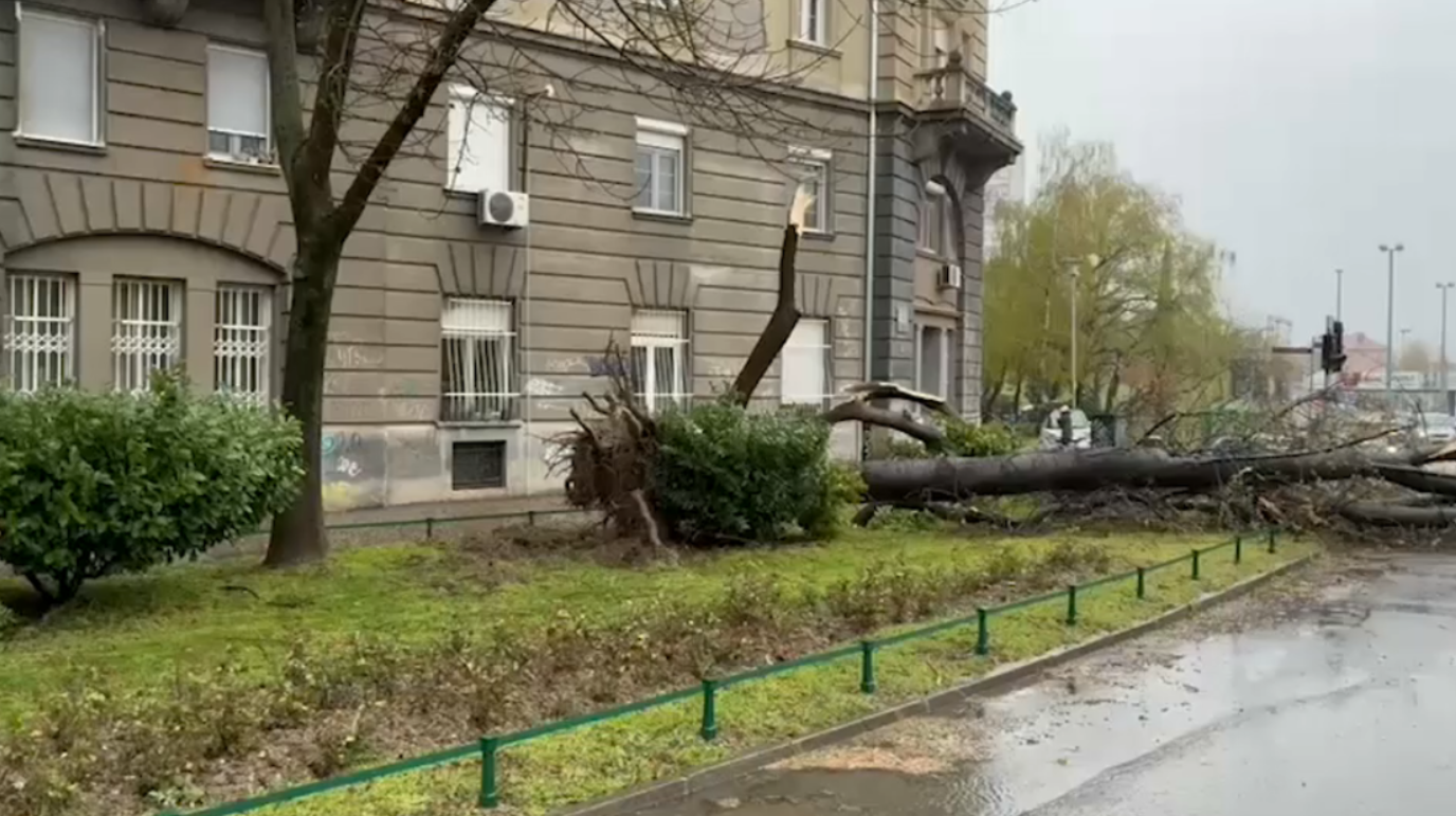 Screenshot 2026-03-27 083631