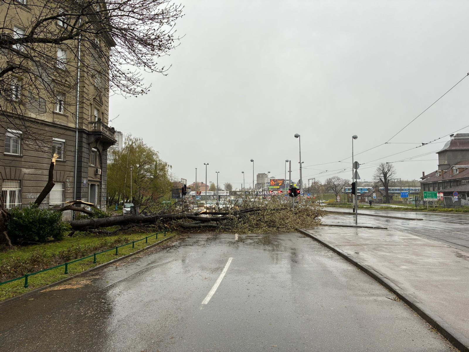 1774594422_779bd0bf-c154-4d24-aa83-ef301622e82d