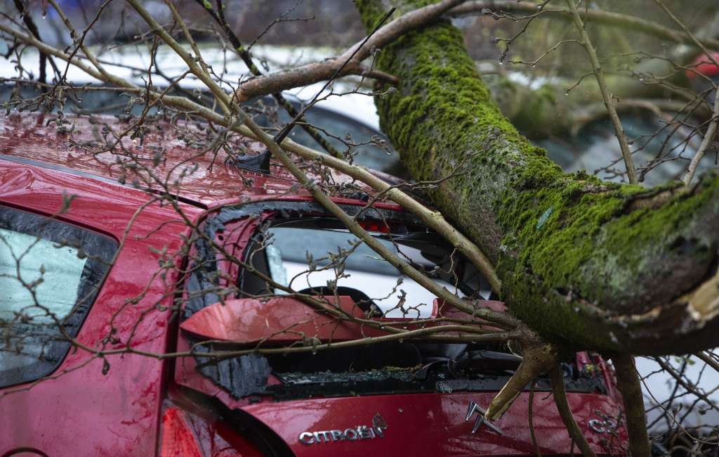 l_ce1c3d2a379834912d914b690434cfaa