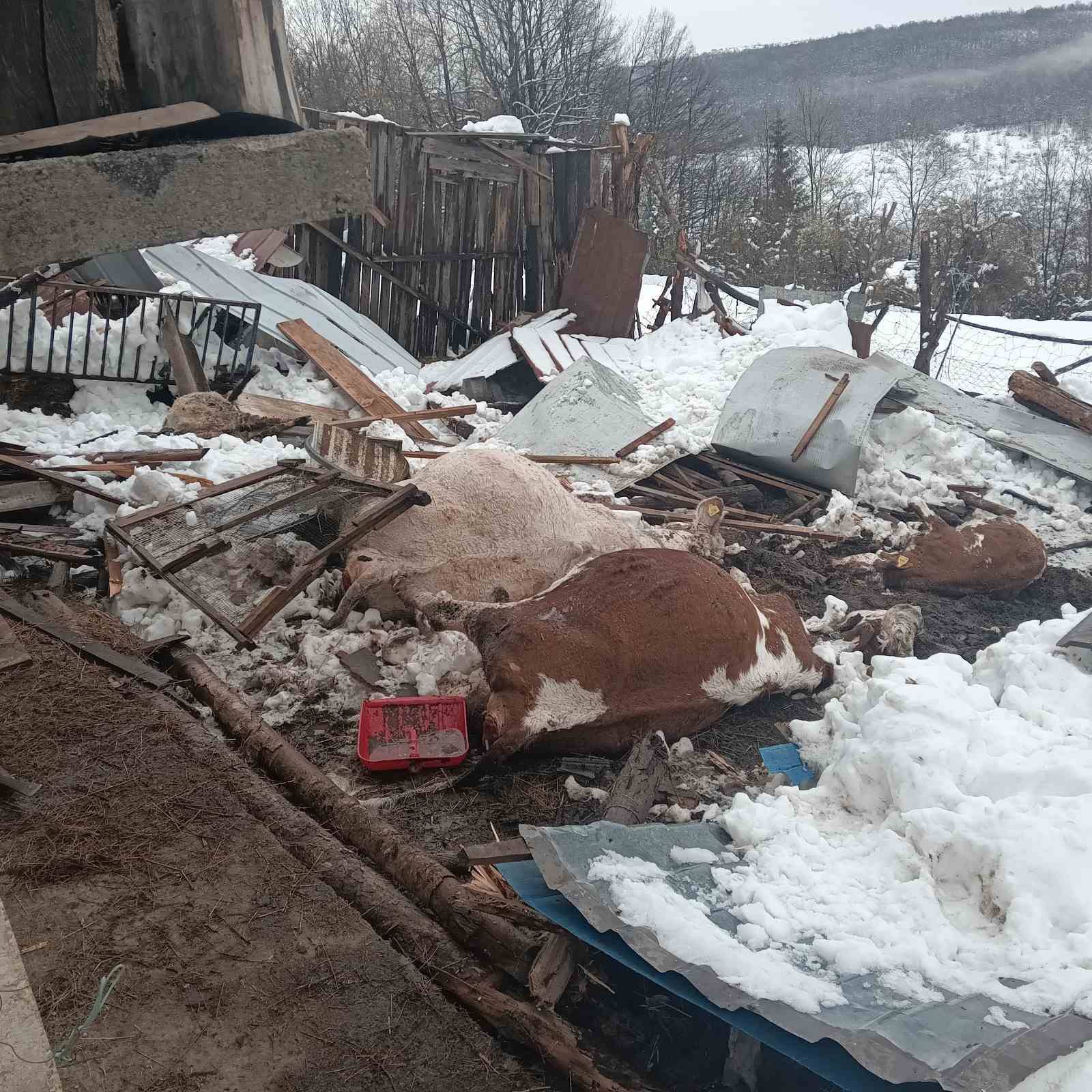 657380246_122237428172265447_6069945811693829993_n