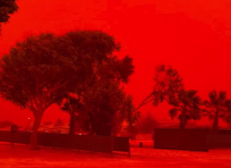 905e831d-800a-4e2d-8411-ad50b123fc2d