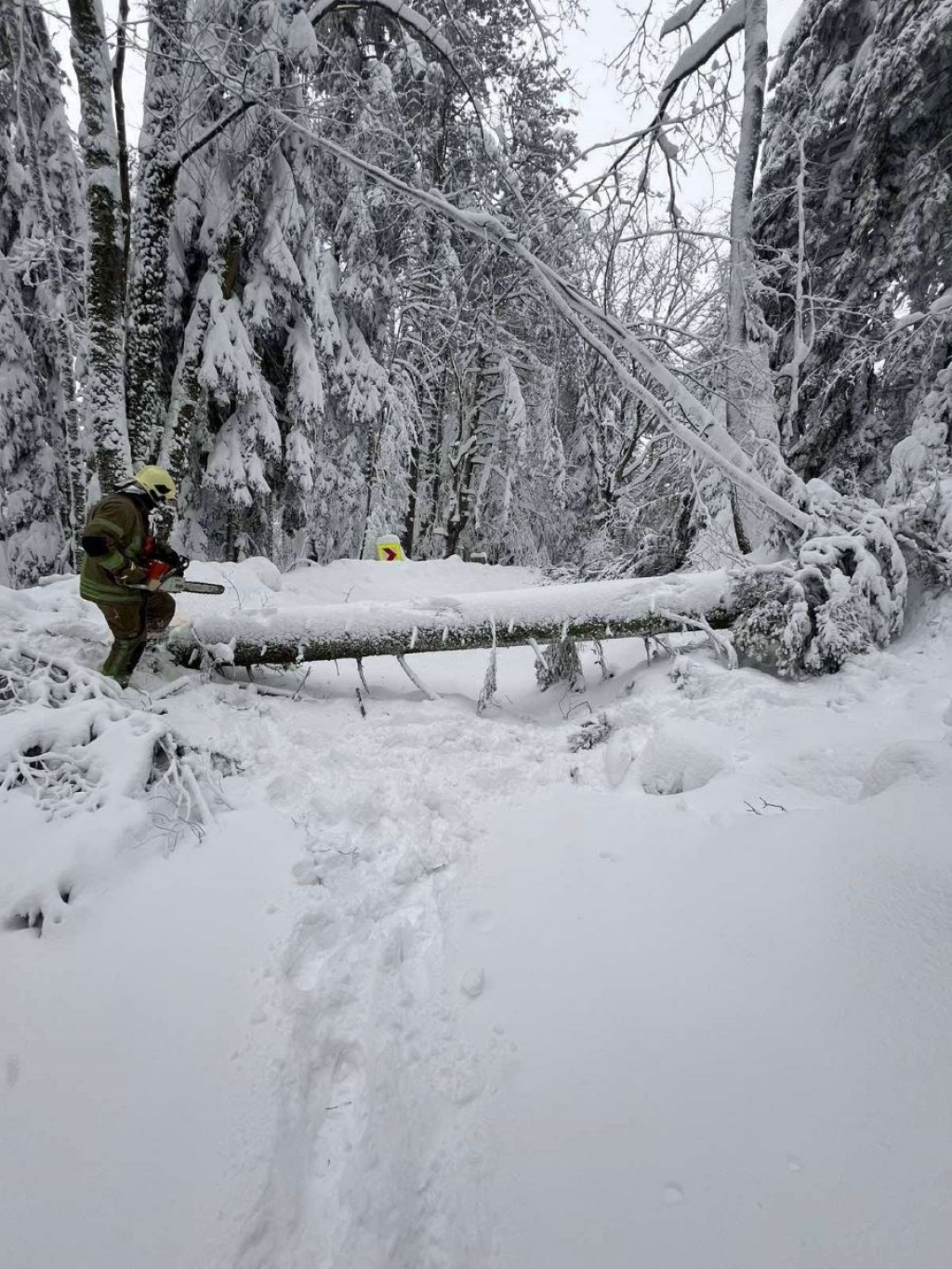 l_6c6397d95300a1d33c80c12e451d612c