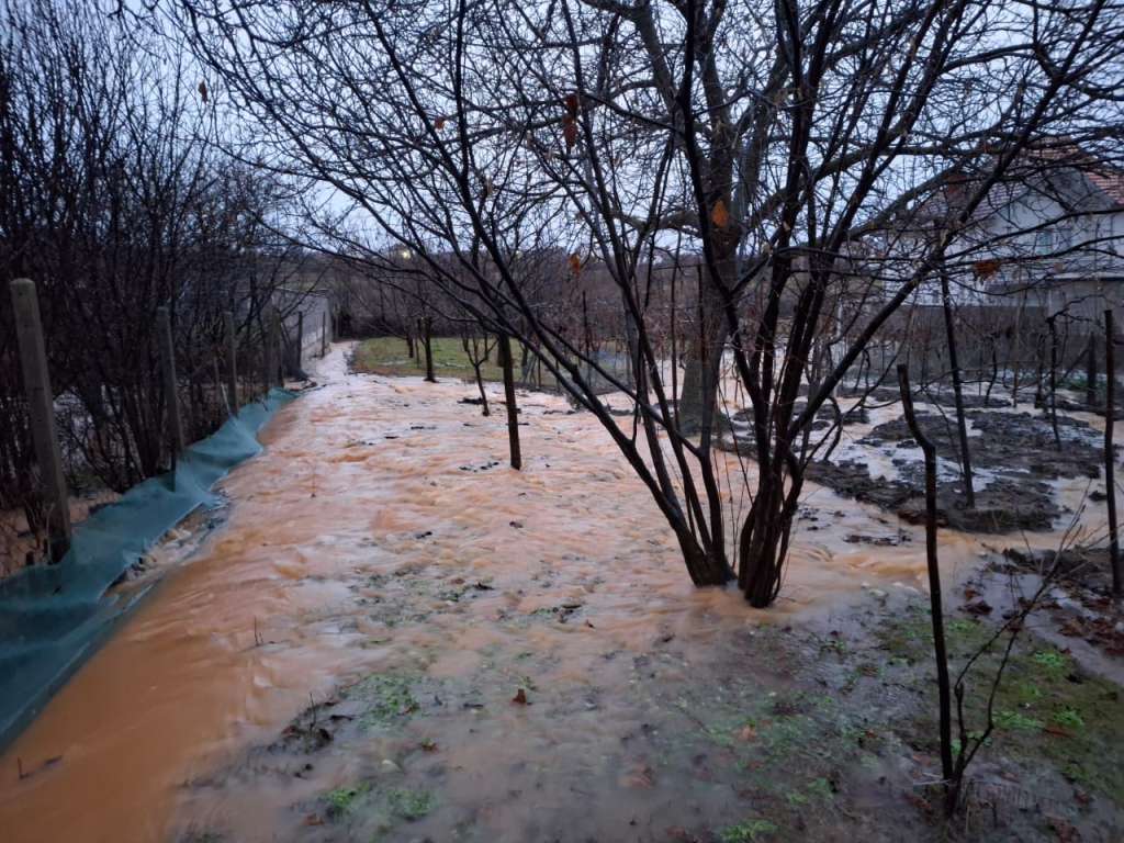 l_cd6d84c10802119a84e60ff22912cdf8