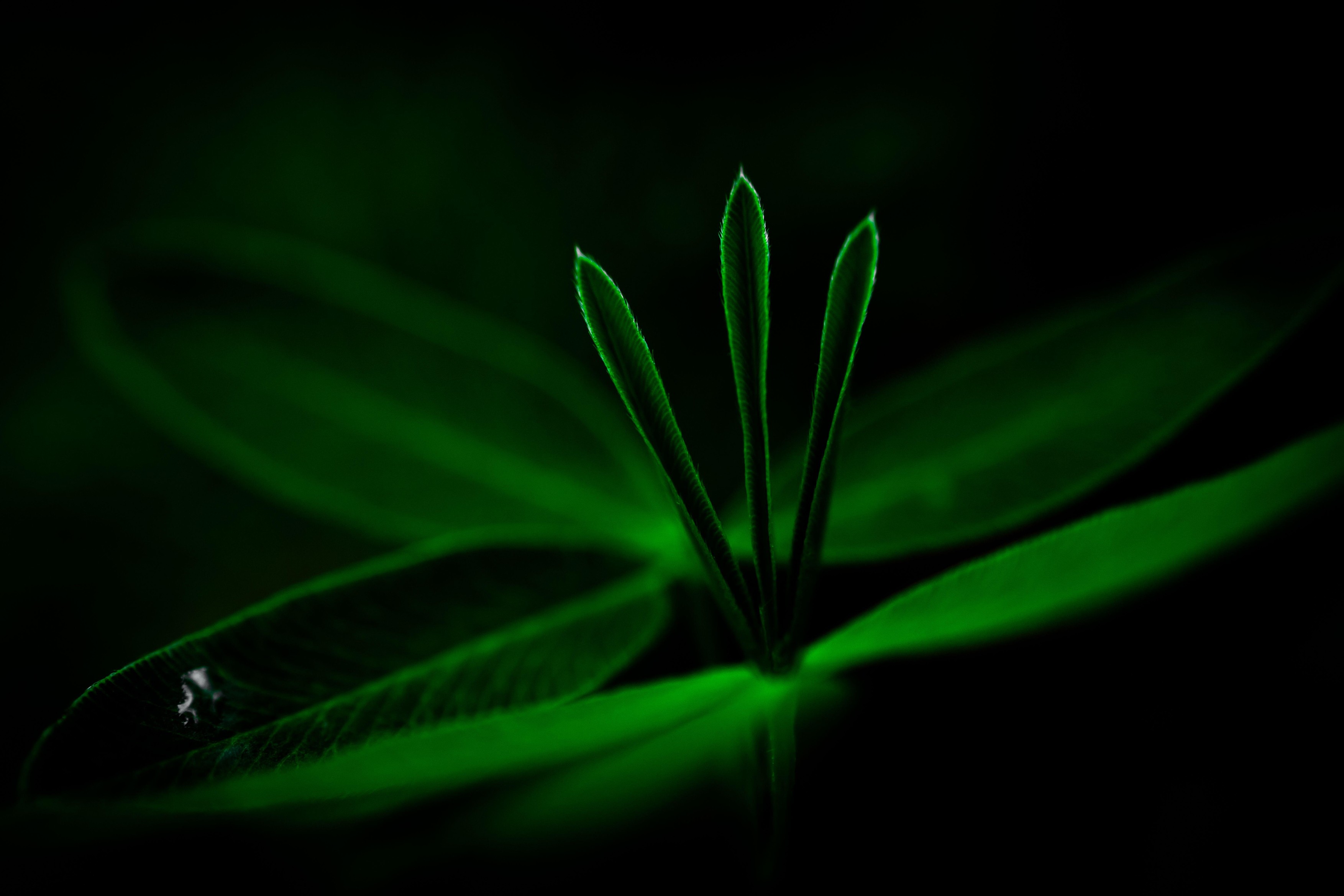 Image: 1007012488, License: Royalty-free, Restrictions: , Model Release: no, Credit line: Oleh Khilinskyi / Alamy / Profimedia