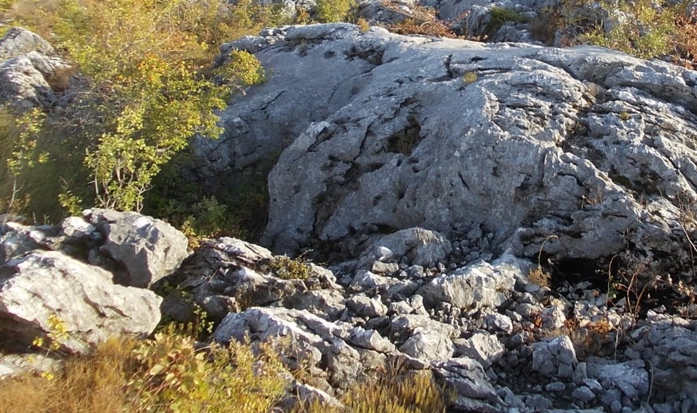 Screenshot 2026-04-14 113635