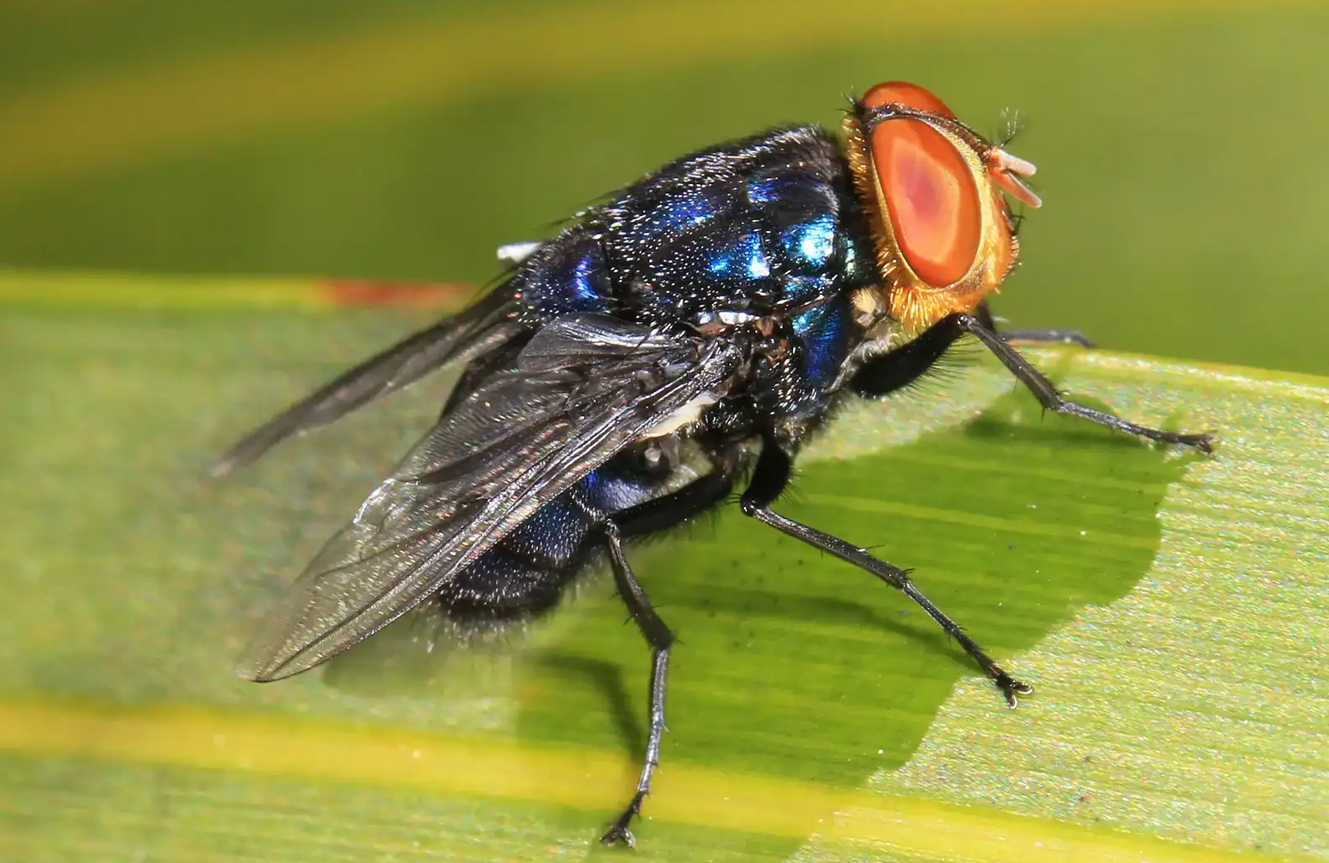 Screenshot 2026-04-15 190818