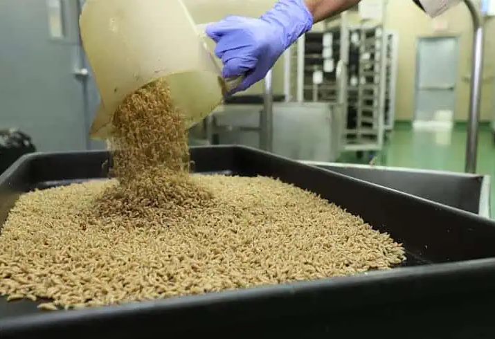 Screenshot 2026-04-15 191812