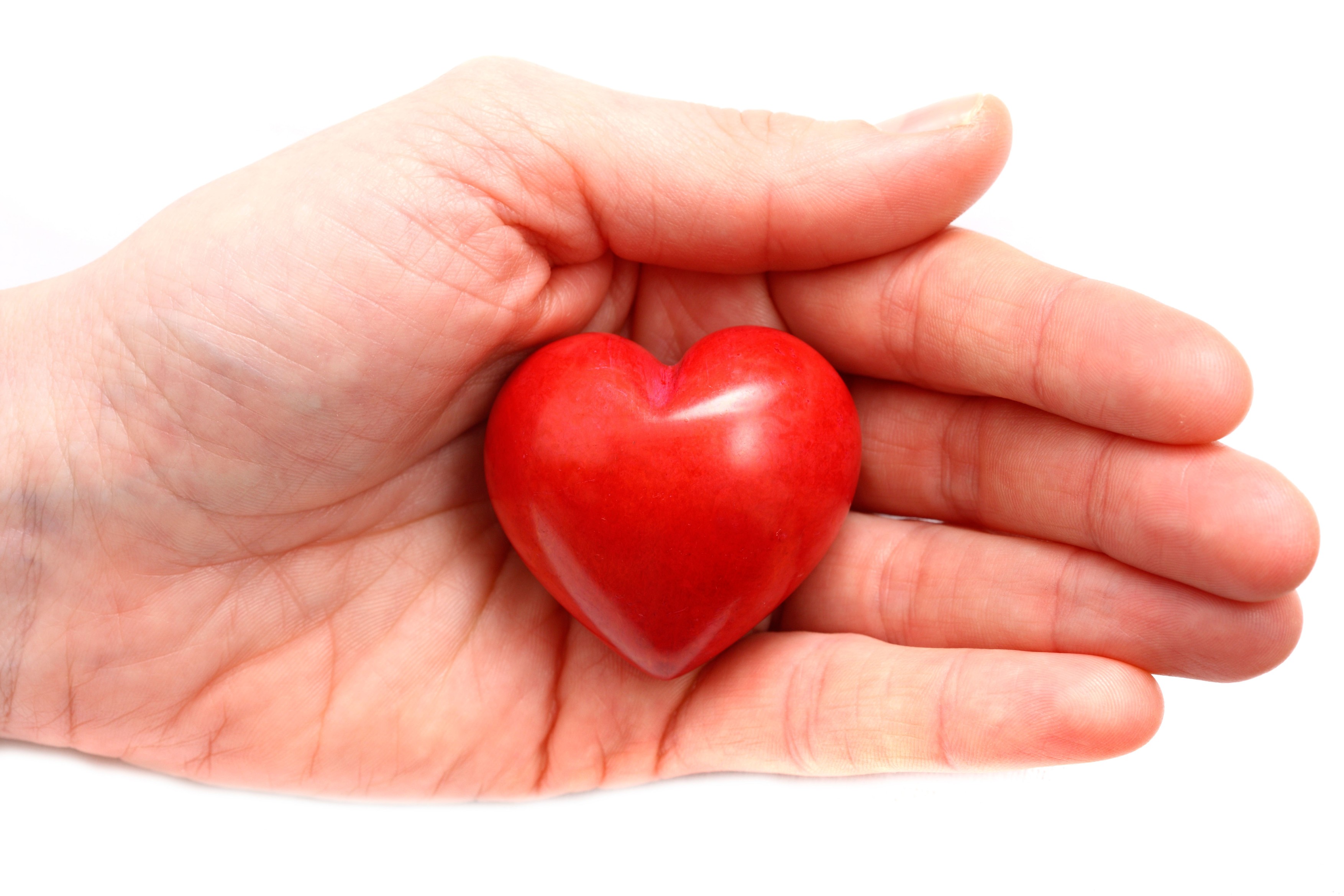 Symbolic image, heart disease, heart attack, protectio