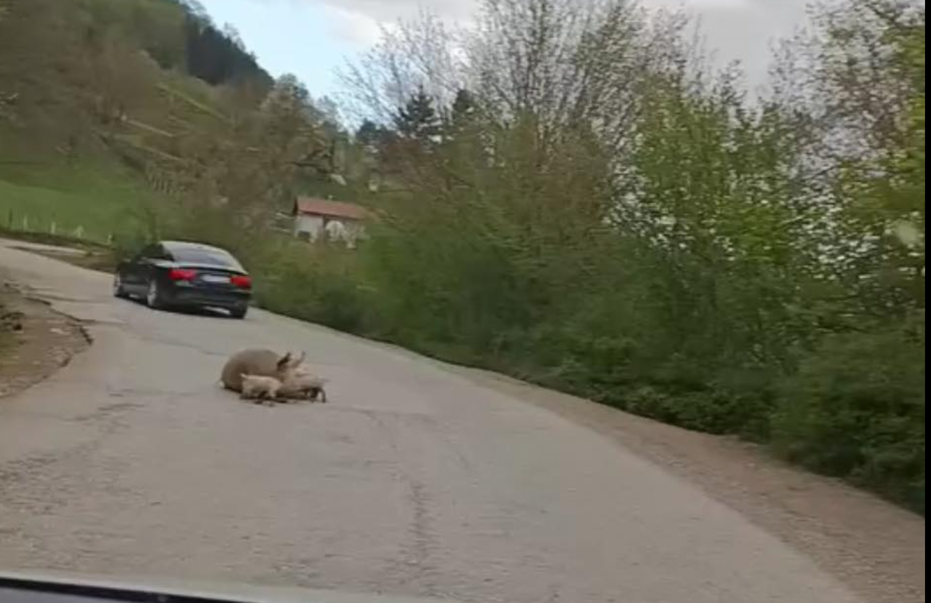 Slika zaslona 2026-04-18 u 13.00.47