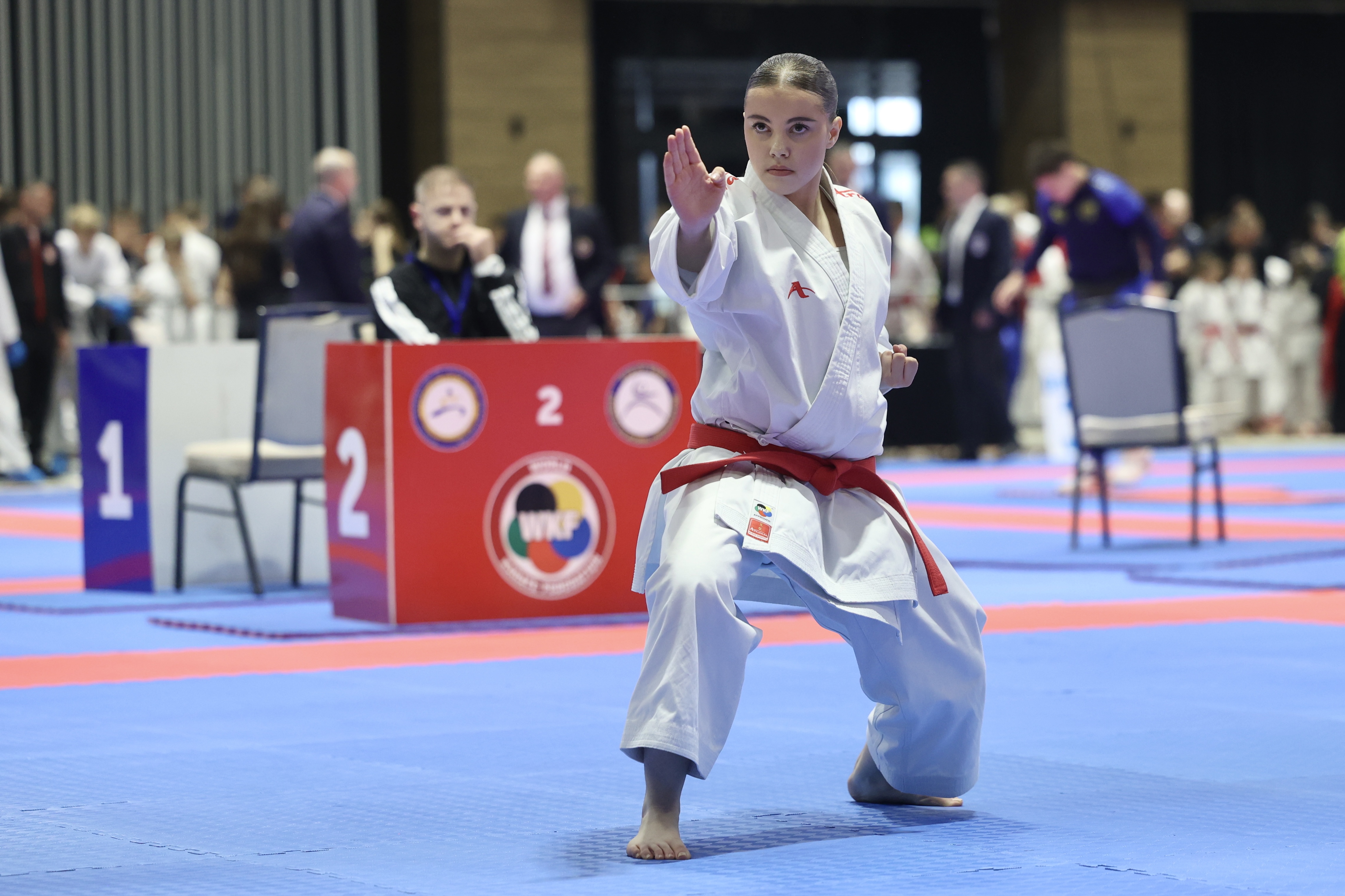 karate savez bih10.jpeg