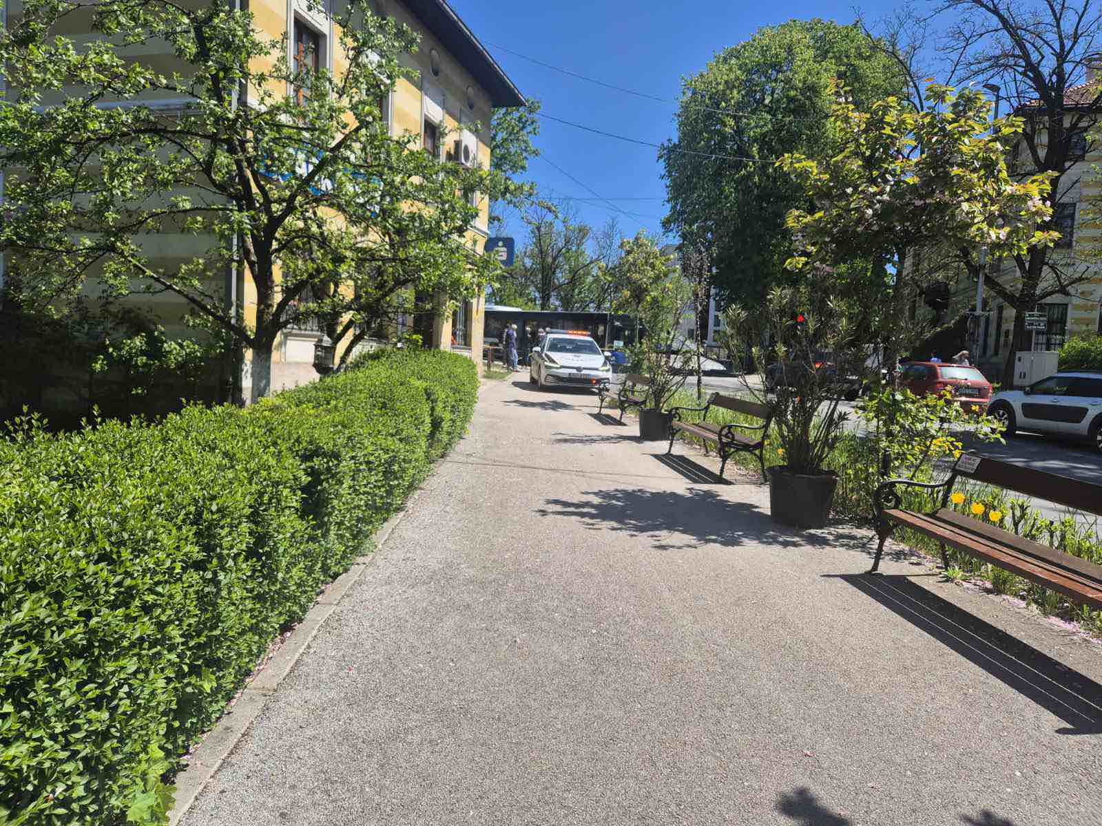 viber_image_2026-04-24_13-46-37-788