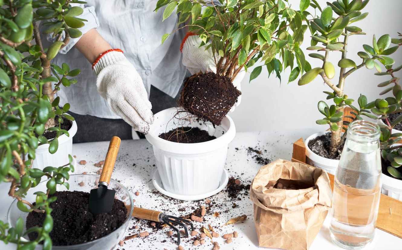 Screenshot 2026-04-24 175659