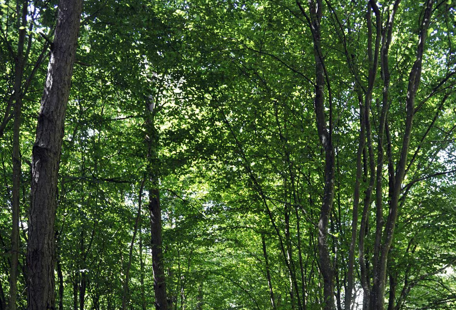 Screenshot 2026-04-27 095947