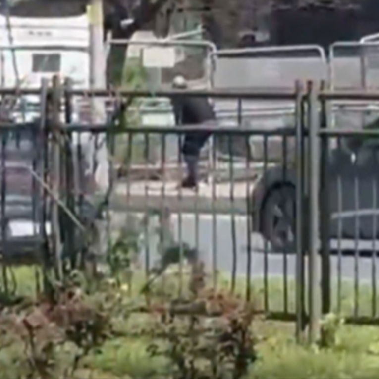 6817cc3e-2838-4803-9b47-133c66a3931e