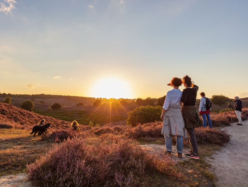 63290119-nizozemska-rheden