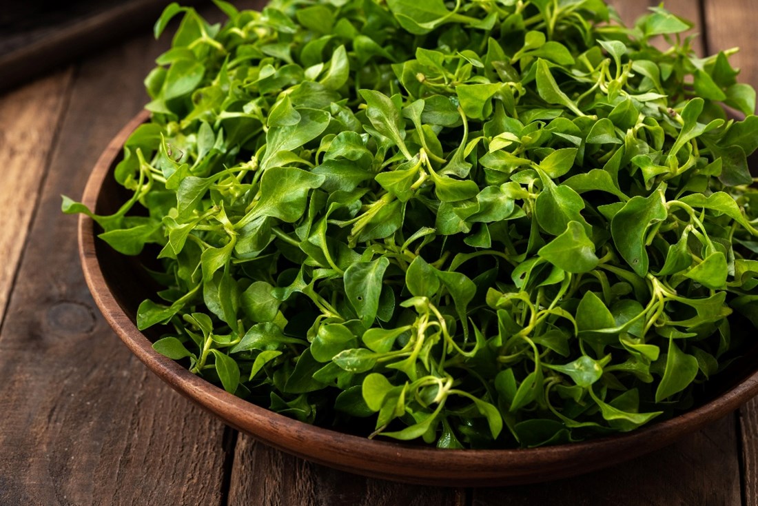 53c035b0-ecb8-42f3-adbf-9d933f2ec458