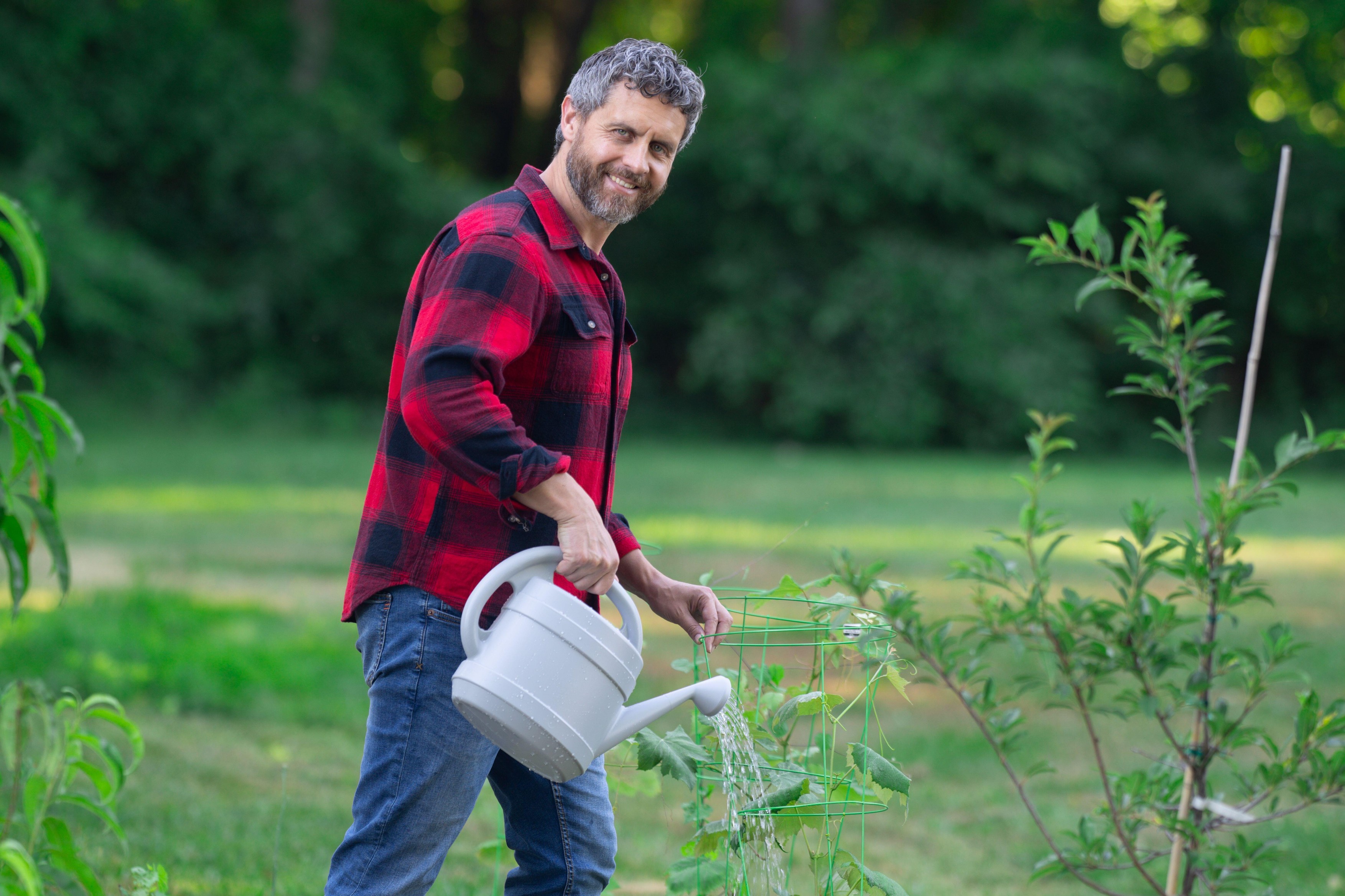 Gardener growing plants in the garden