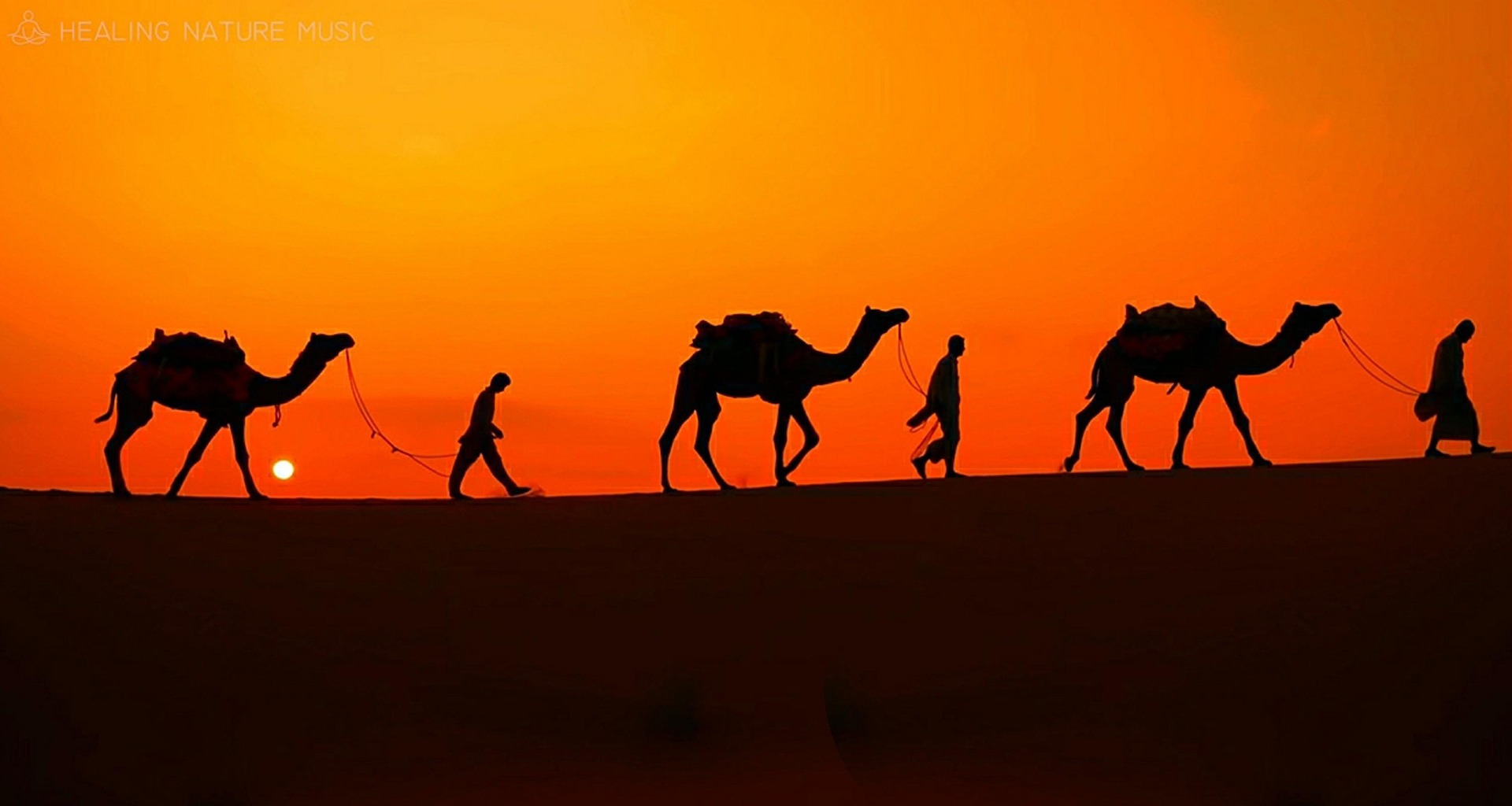 placidplace-camel-7081952_1920