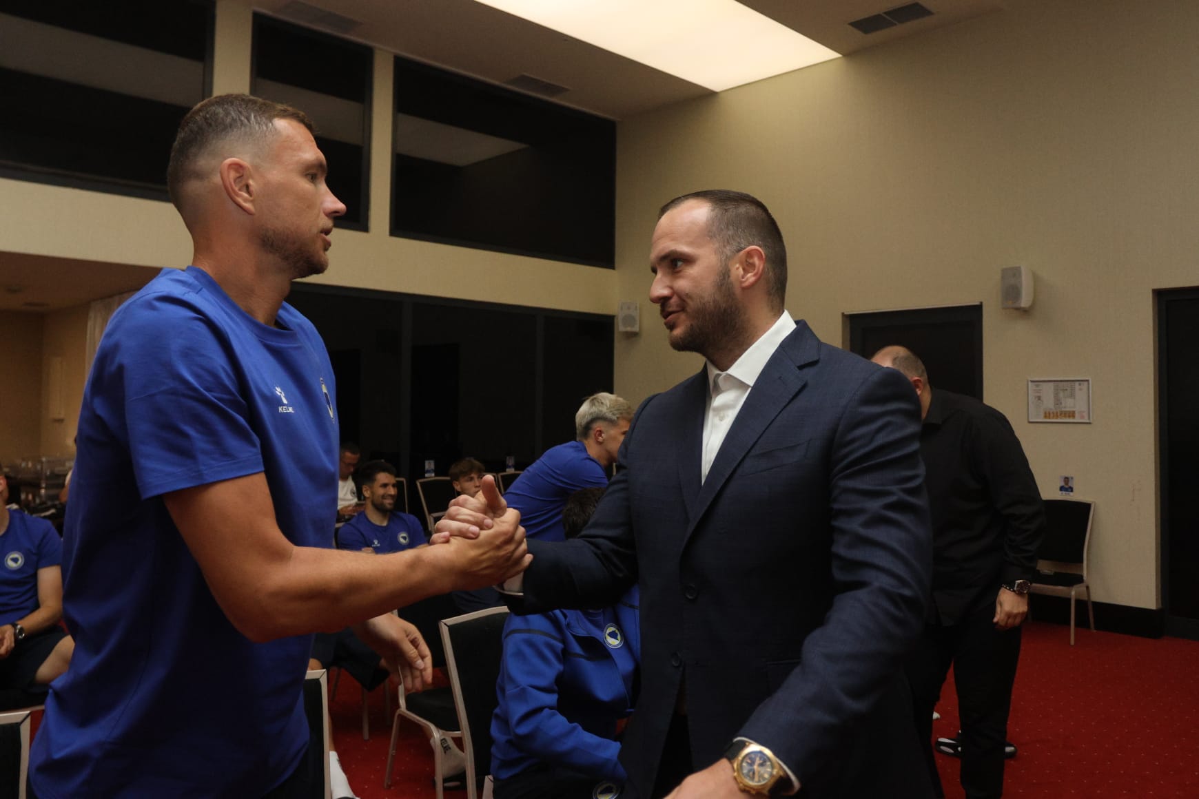 vico zeljković edin džeko