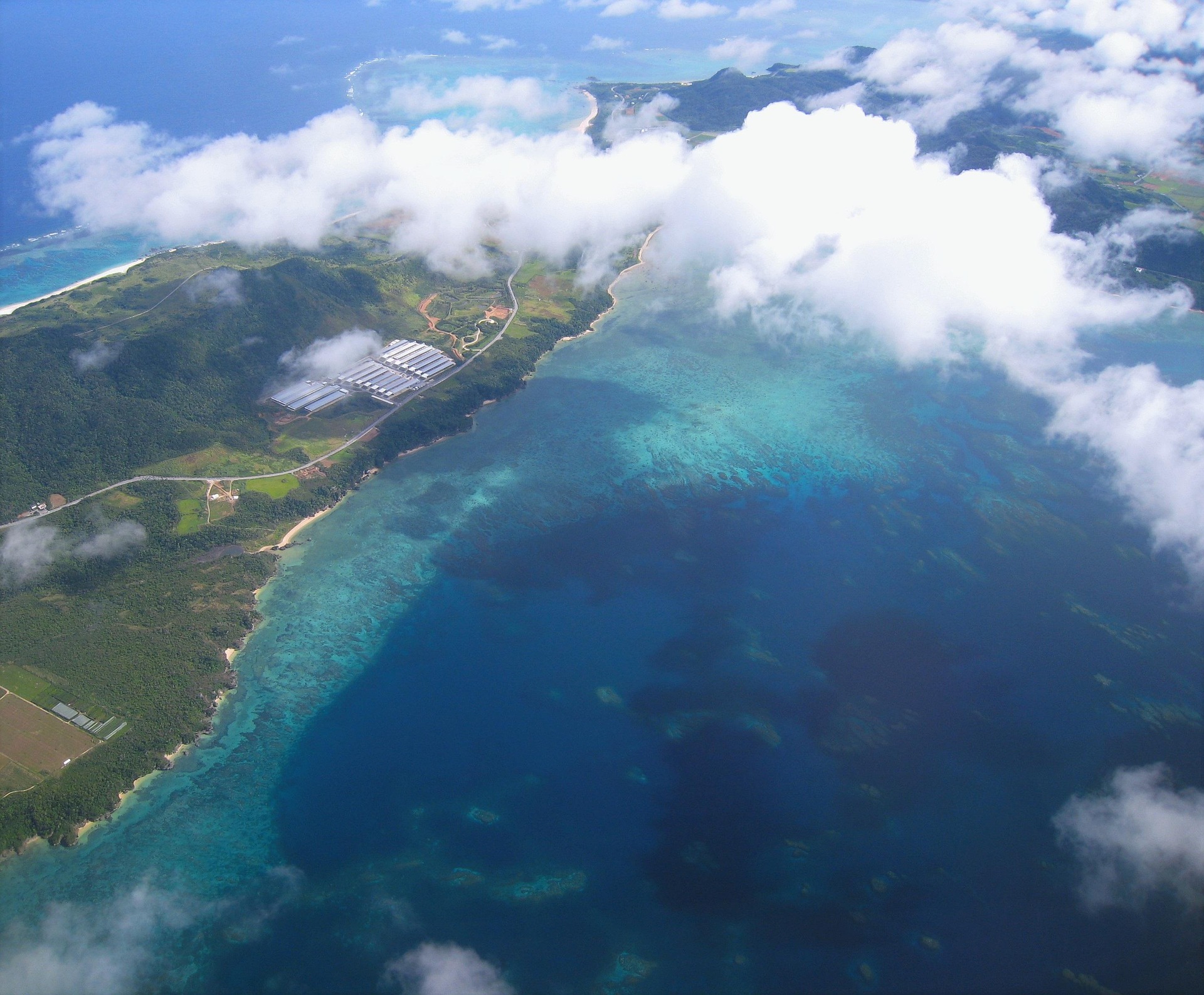 auntmasako-coral-reef-1381723_1920