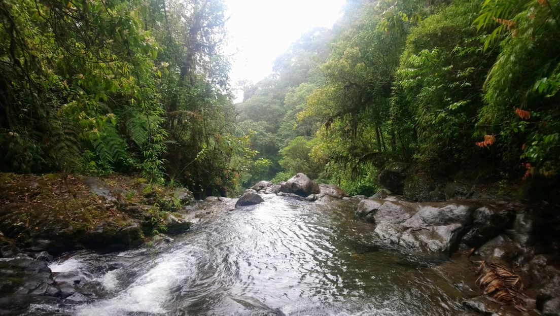 63325320-darien-gap