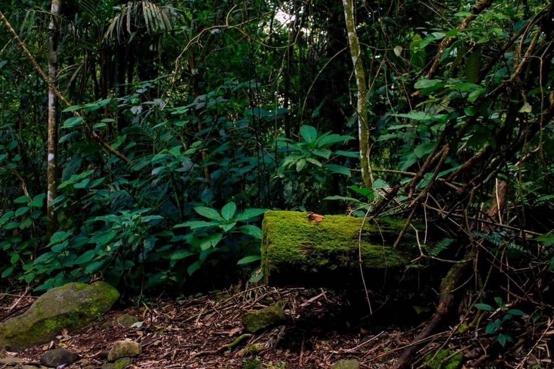 63325319-darien-gap
