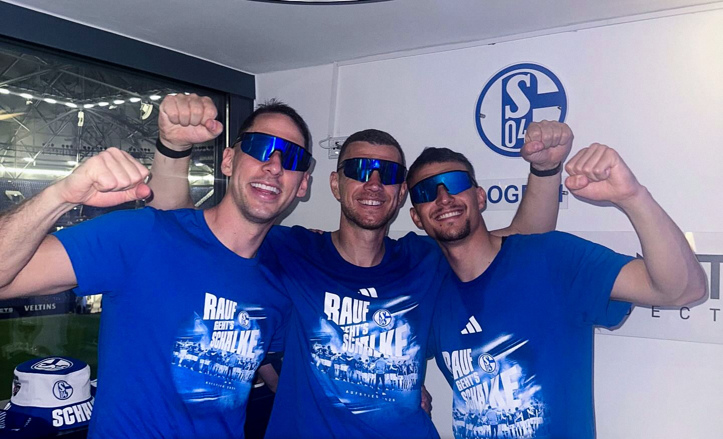 Nikola Katić Edin Džeko 2