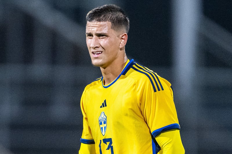 Zinedin Smajlović 2