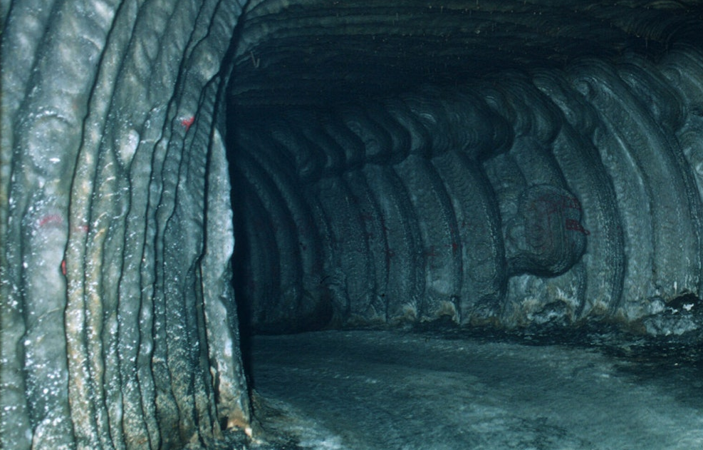 Screenshot 2026-06-01 125017