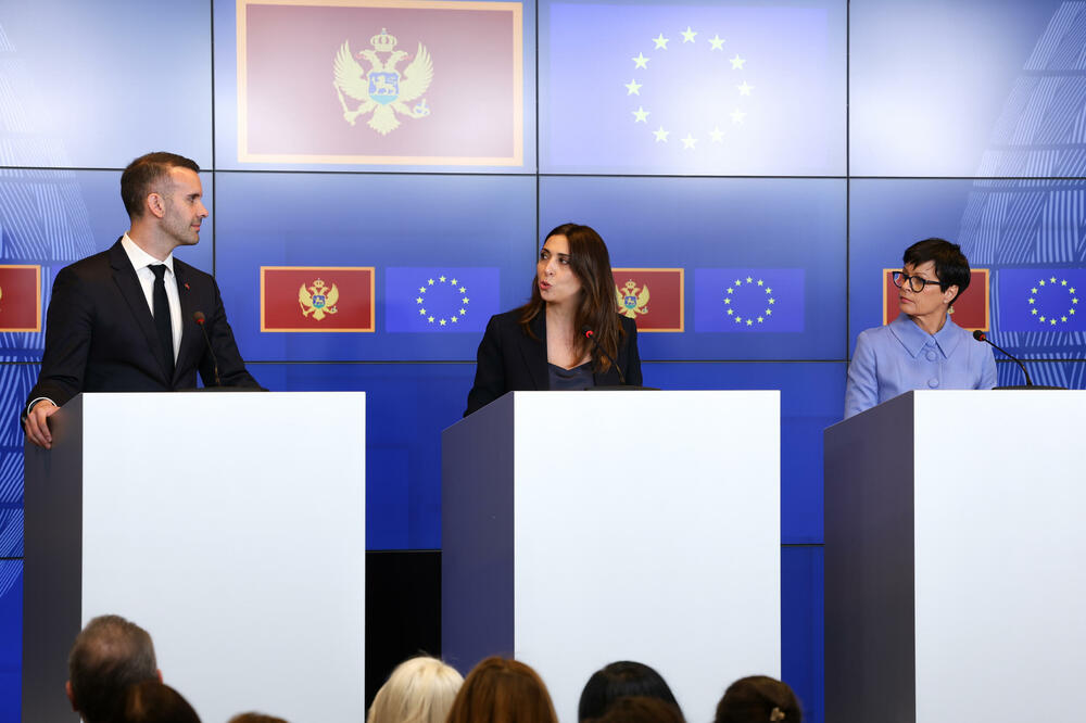 milojko spajic eu