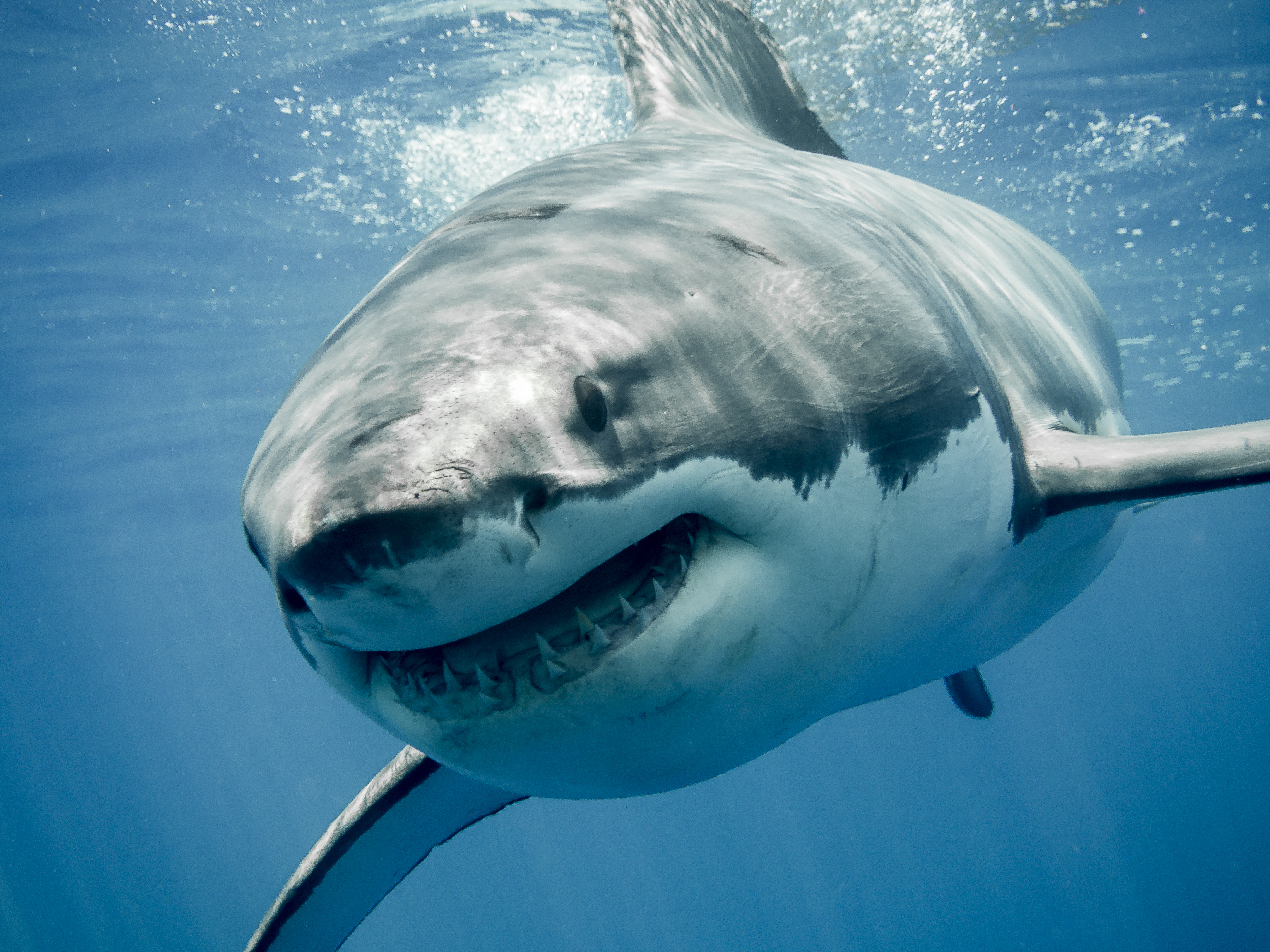 shutterstock_383911420