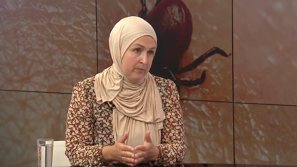 alma Sejtarija Memišević