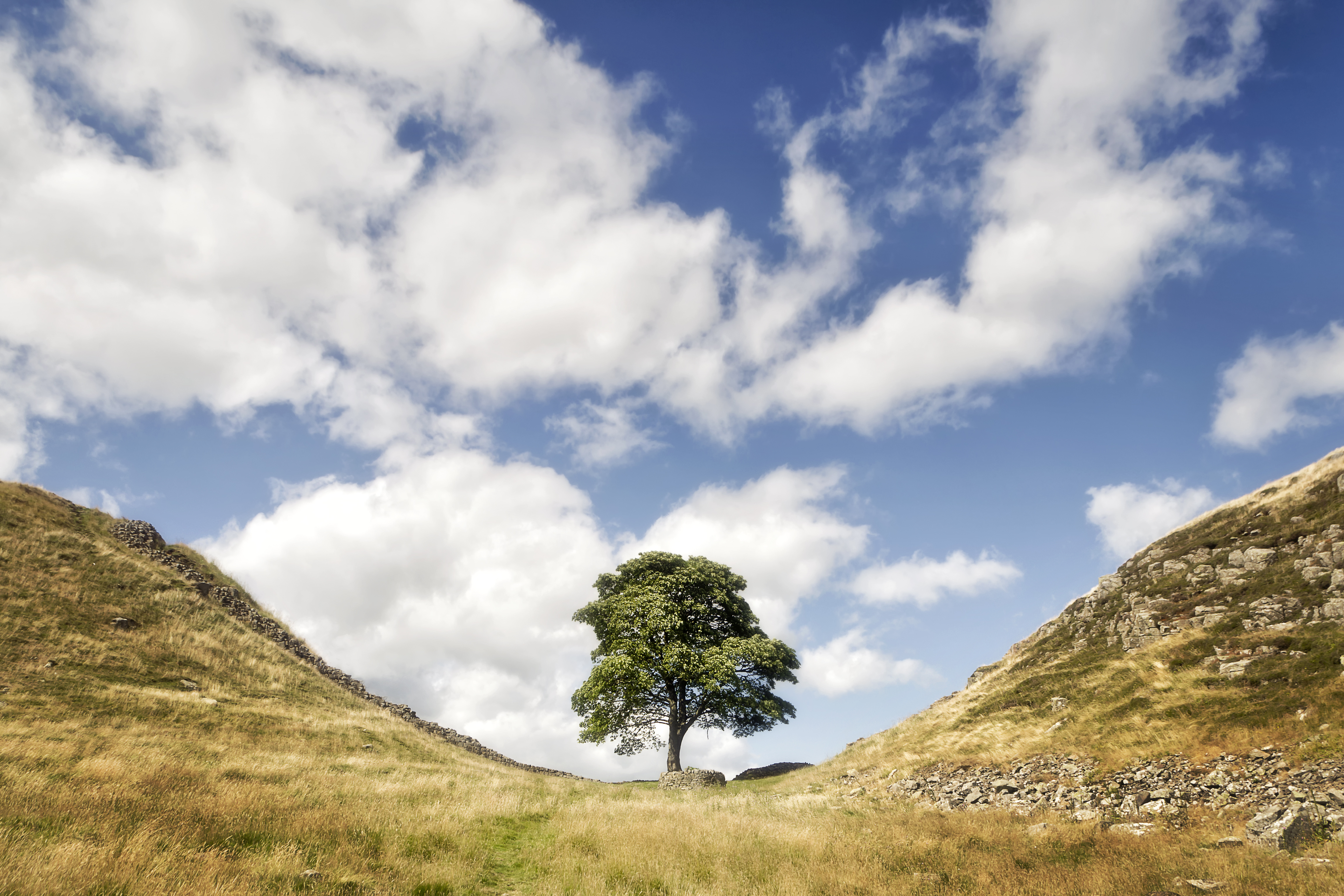 shutterstock_149977607