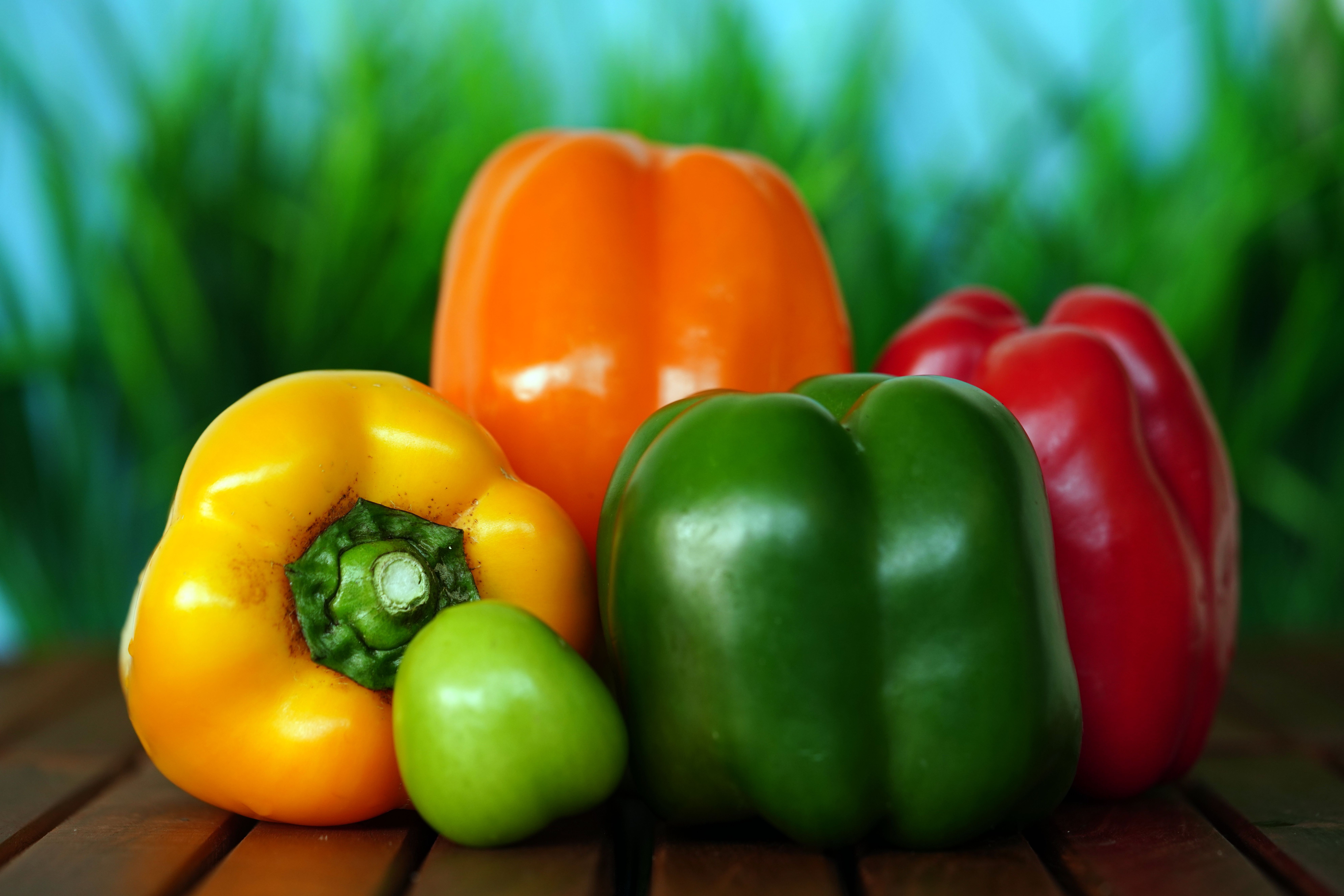 ignartonosbg-vegetables-6677791