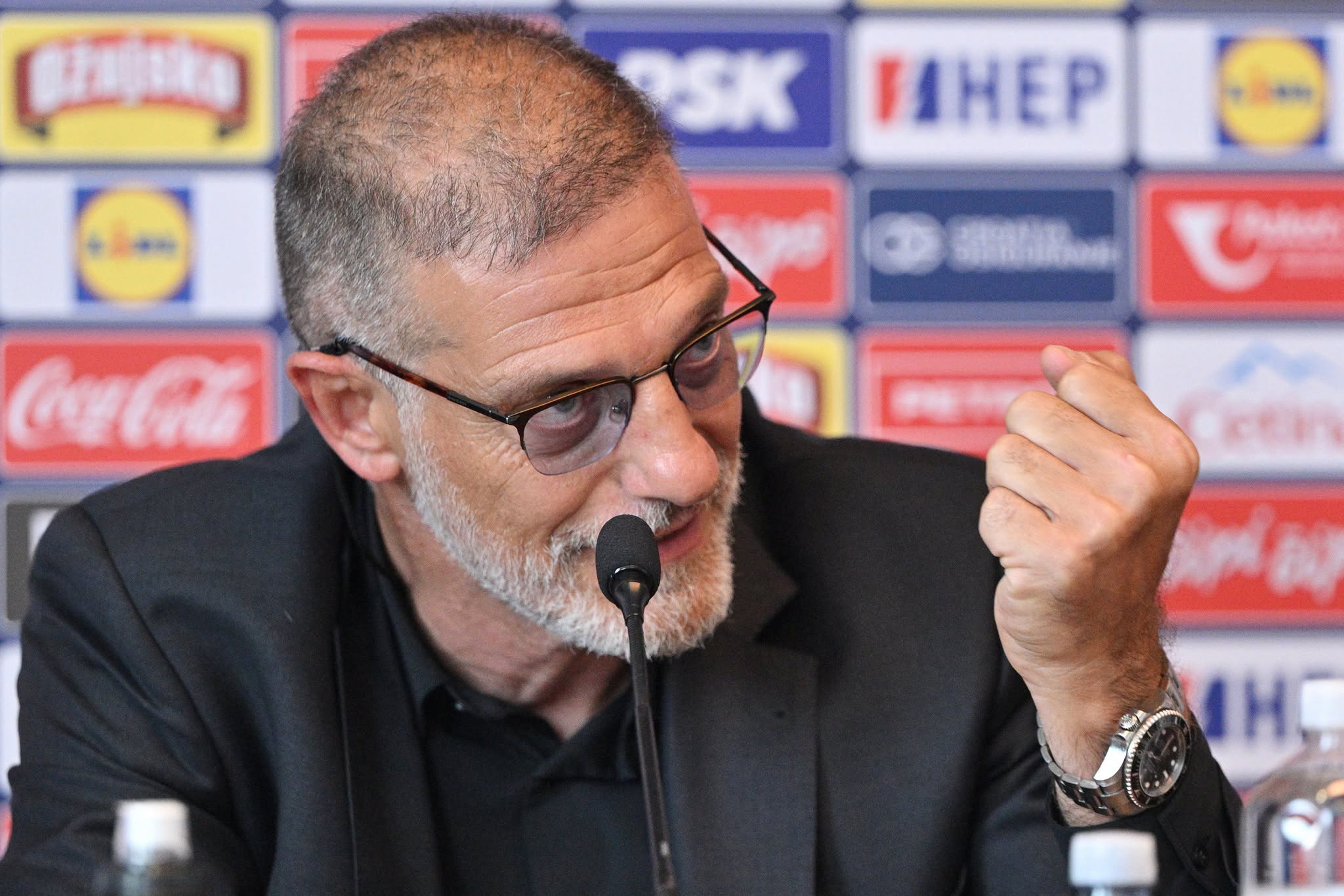 slaven bilic
