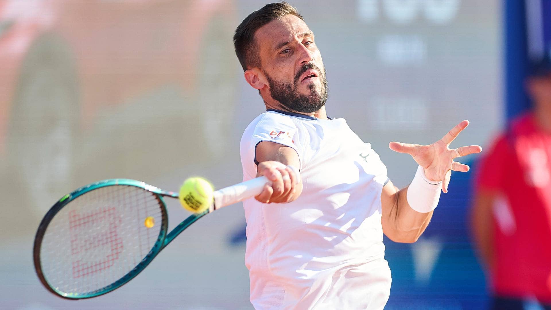 WALL DZUMHUR