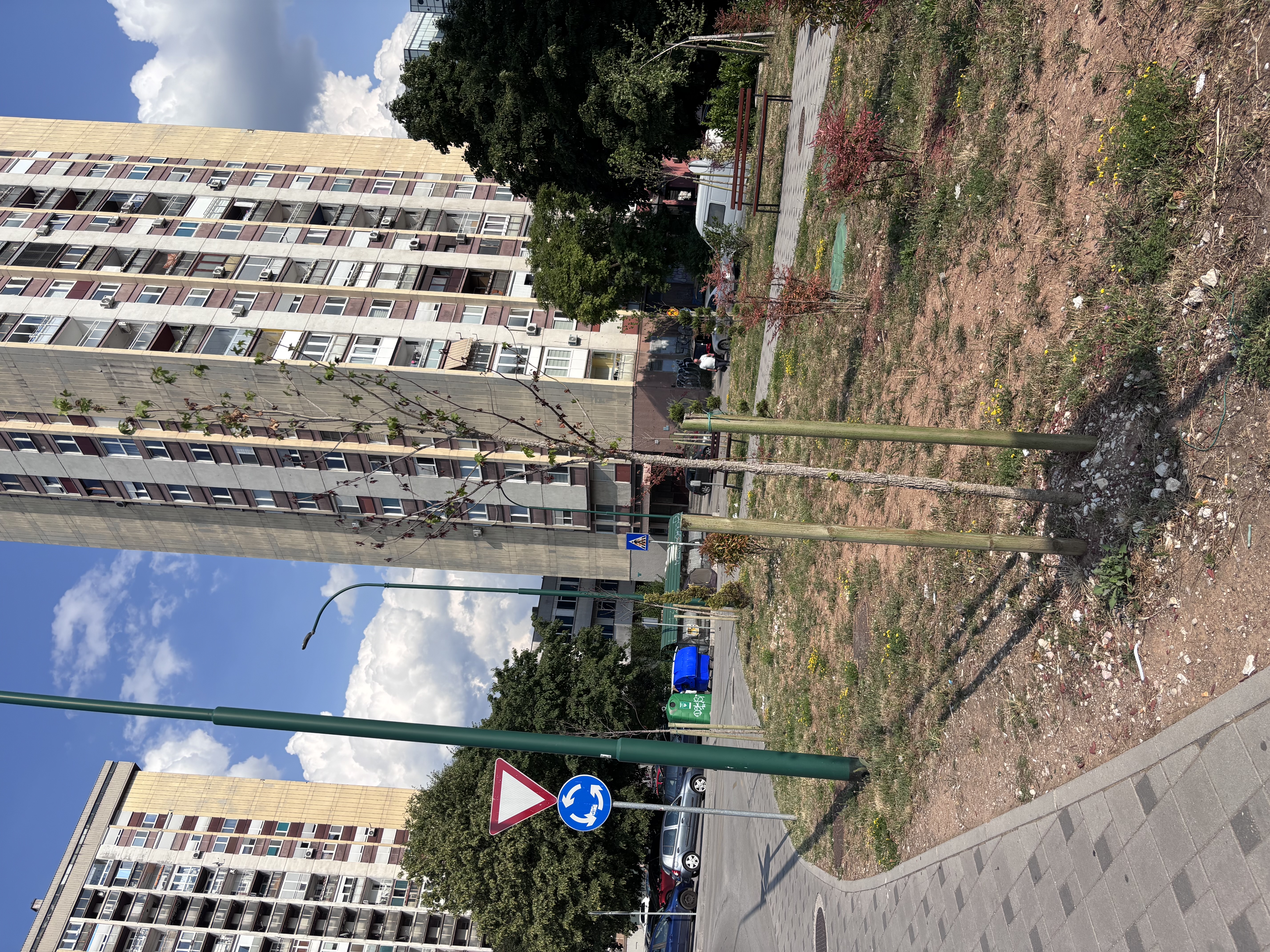 drveće-novo-sarajevo-IMG_0030.jpeg