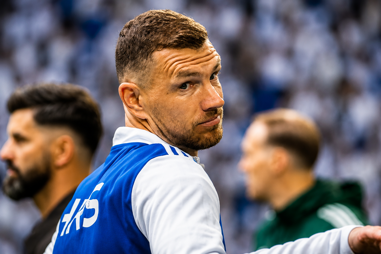 Džeko Edin Schalke.png