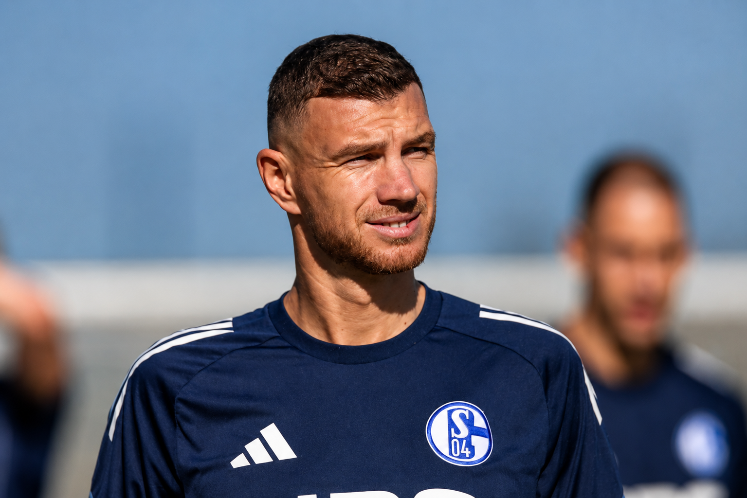 Edin Džeko Schalke 2.png
