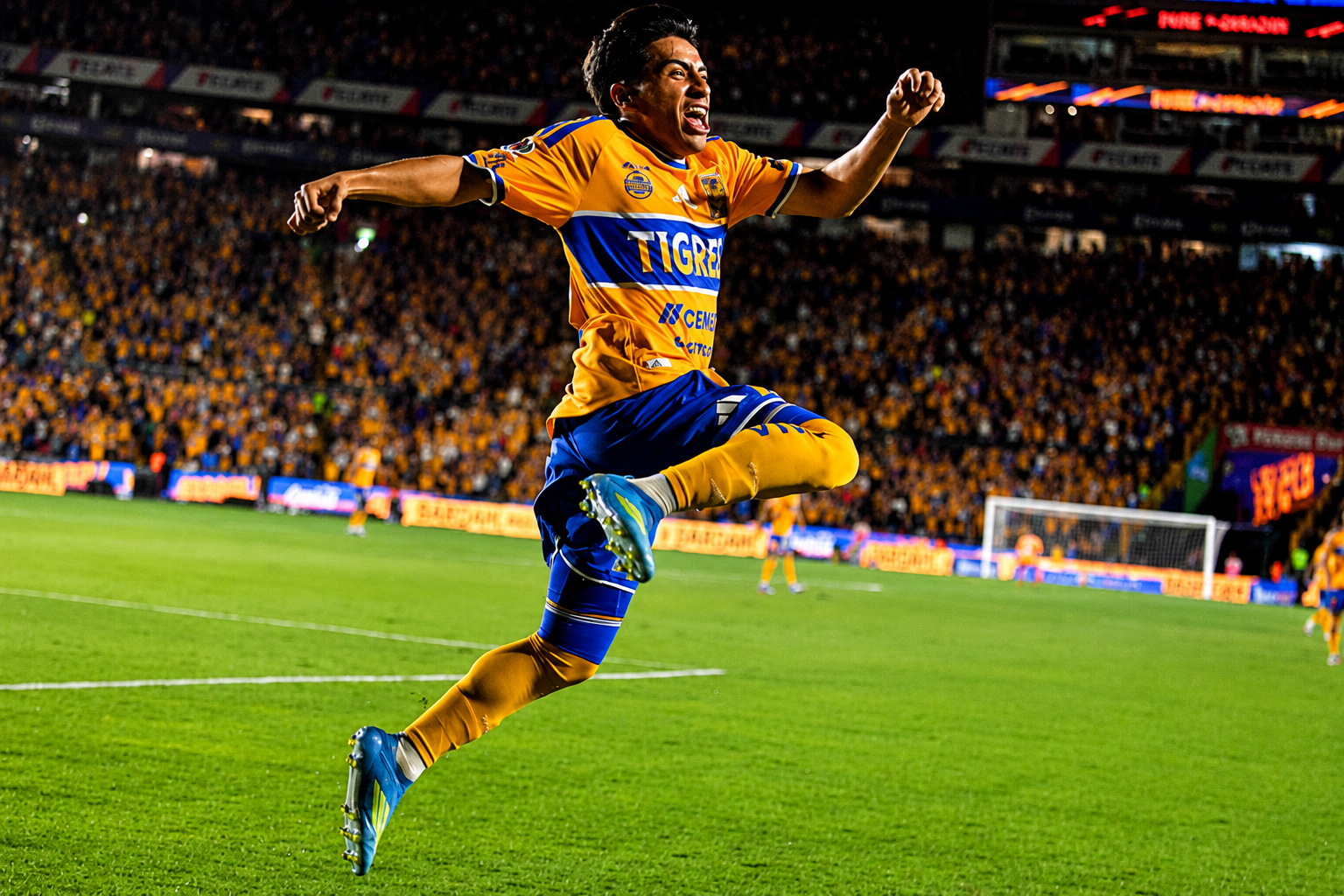 Diego Chicha Sanchez