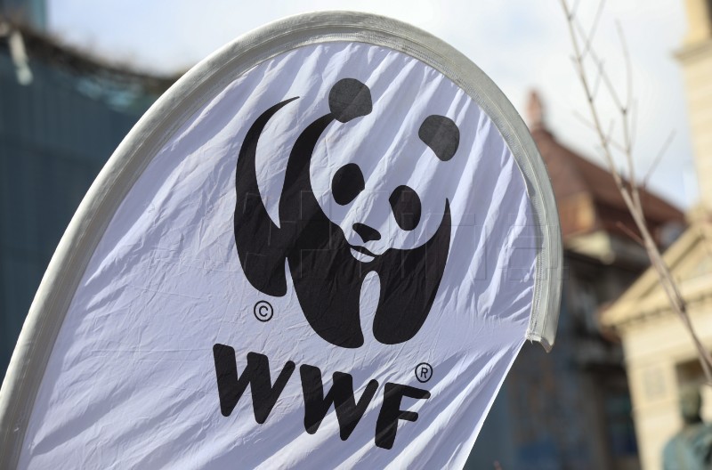 WWF logo