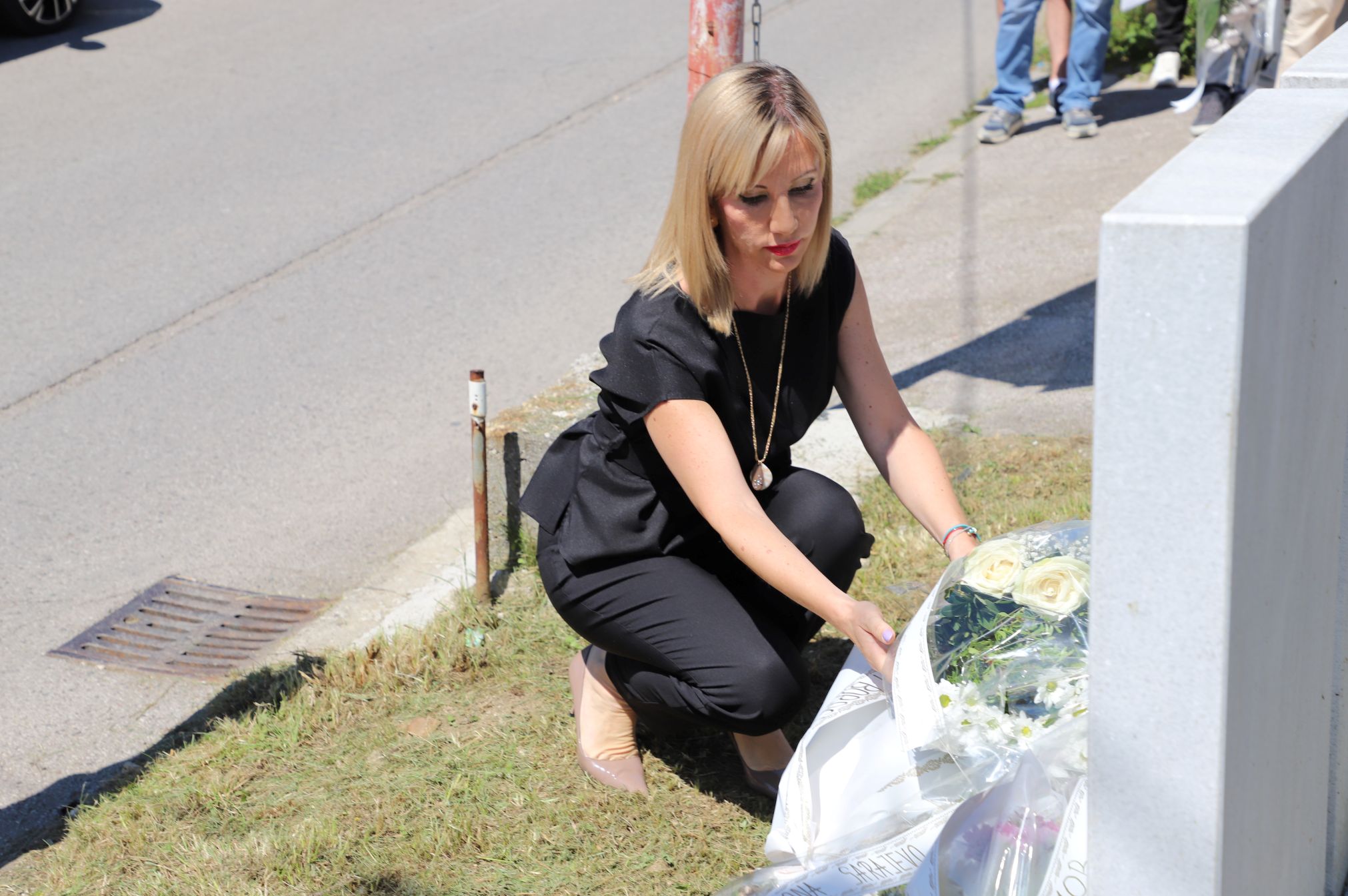 šip 15