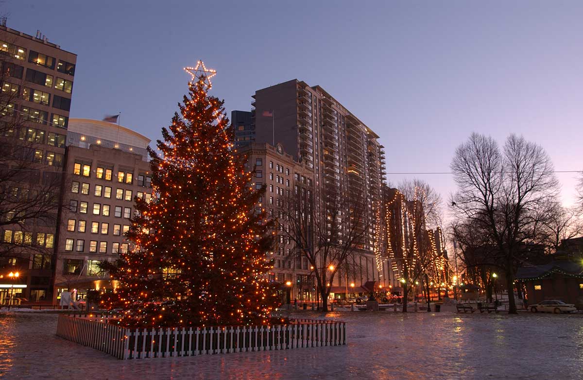Boston_Tree_2005_08
