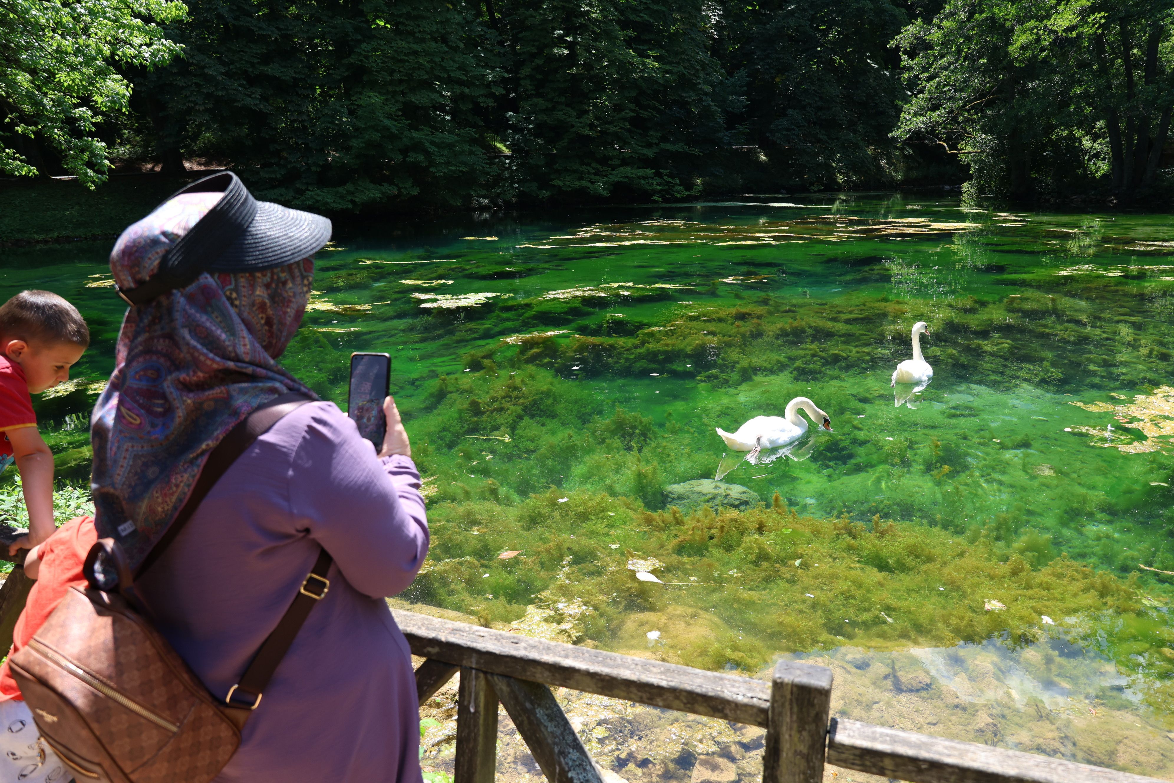 Vrelo Bosne
