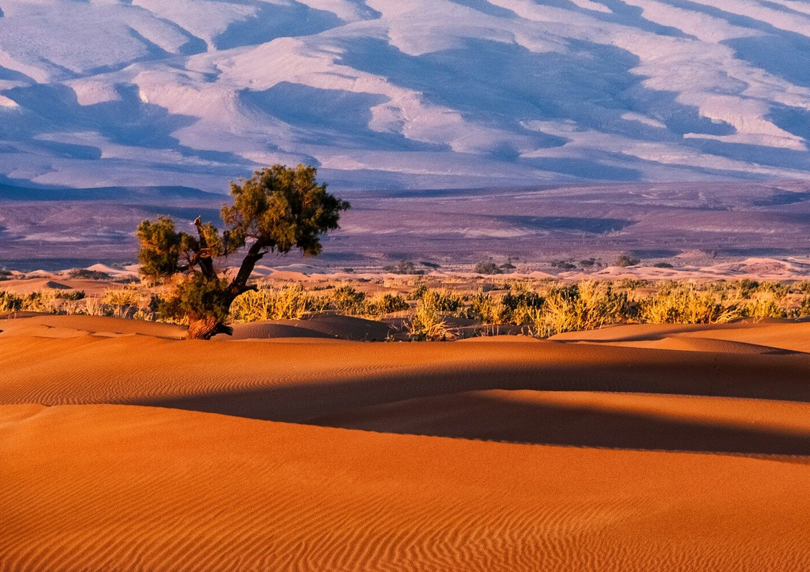 Screenshot 2026-07-07 181919