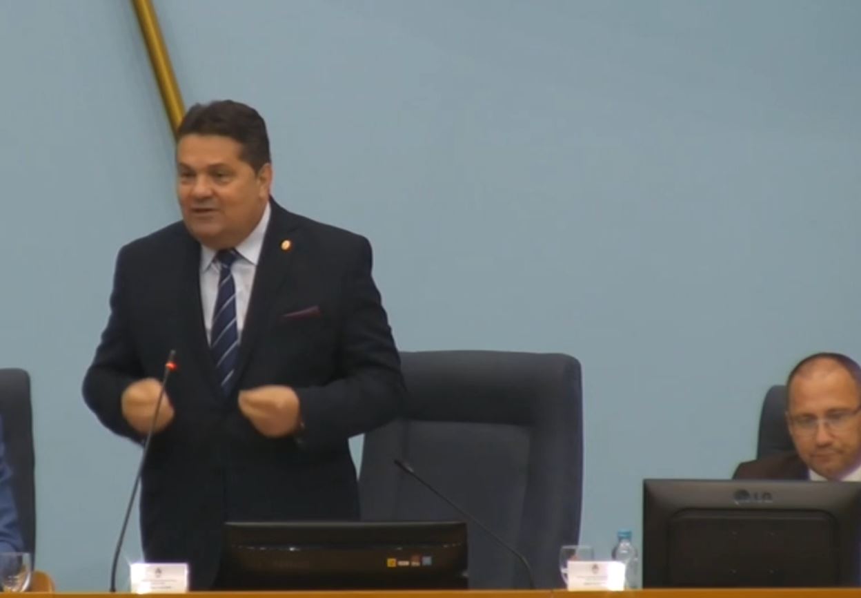 nenad stevandić