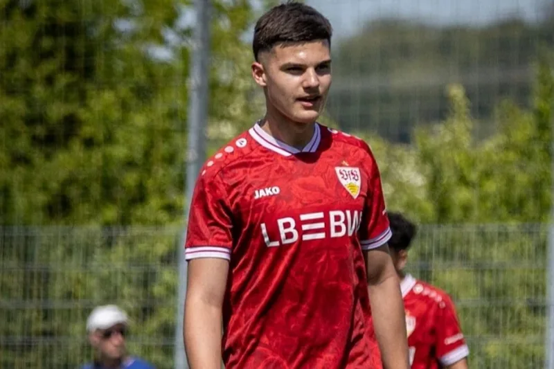 dani ramić